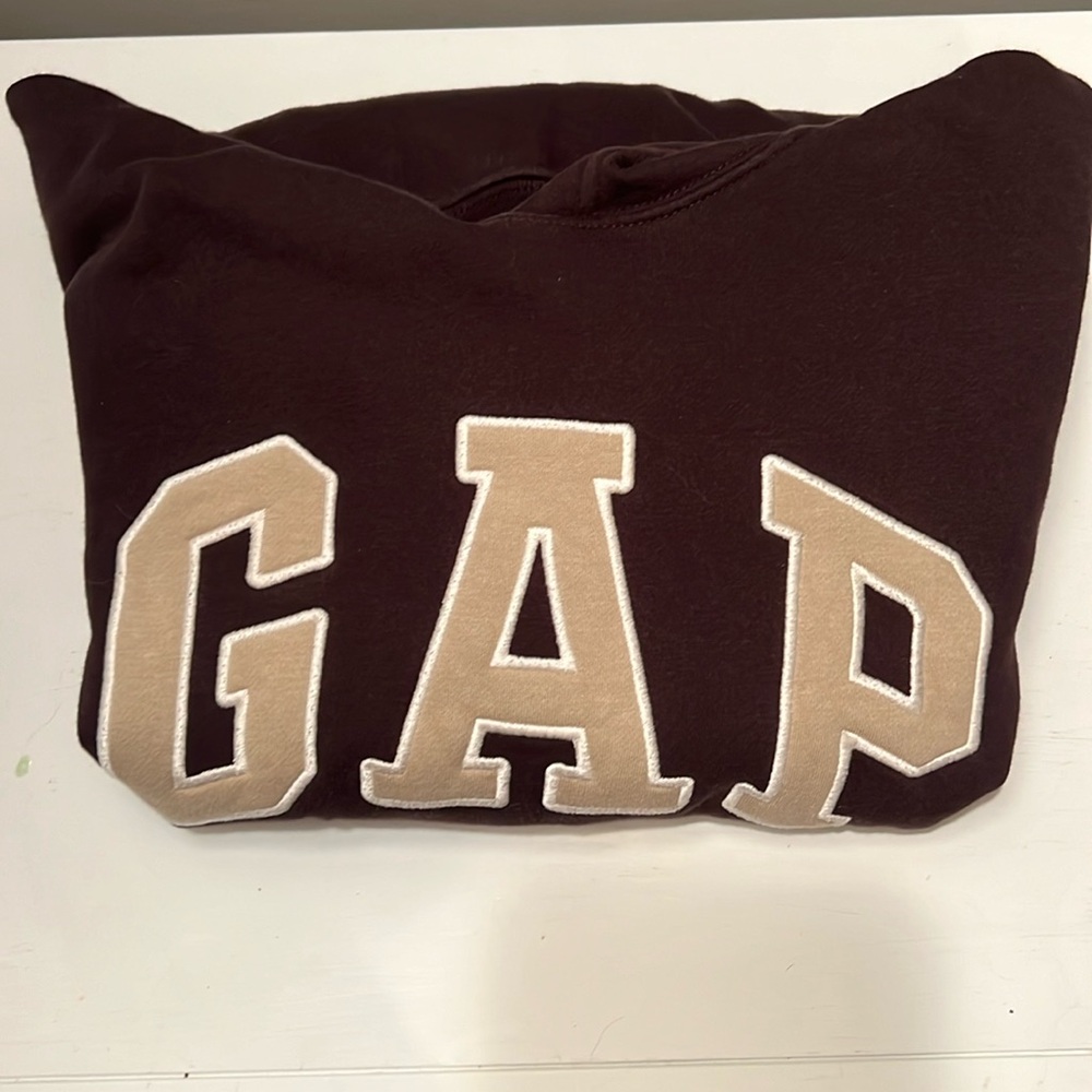 Gap Hoodie